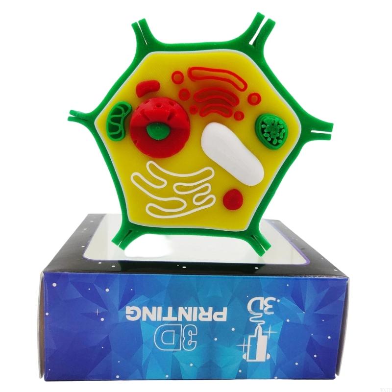 Medical Lab Study - Sınıfta Öğrenme ve Biyoloji Bilim Laboratuvarı