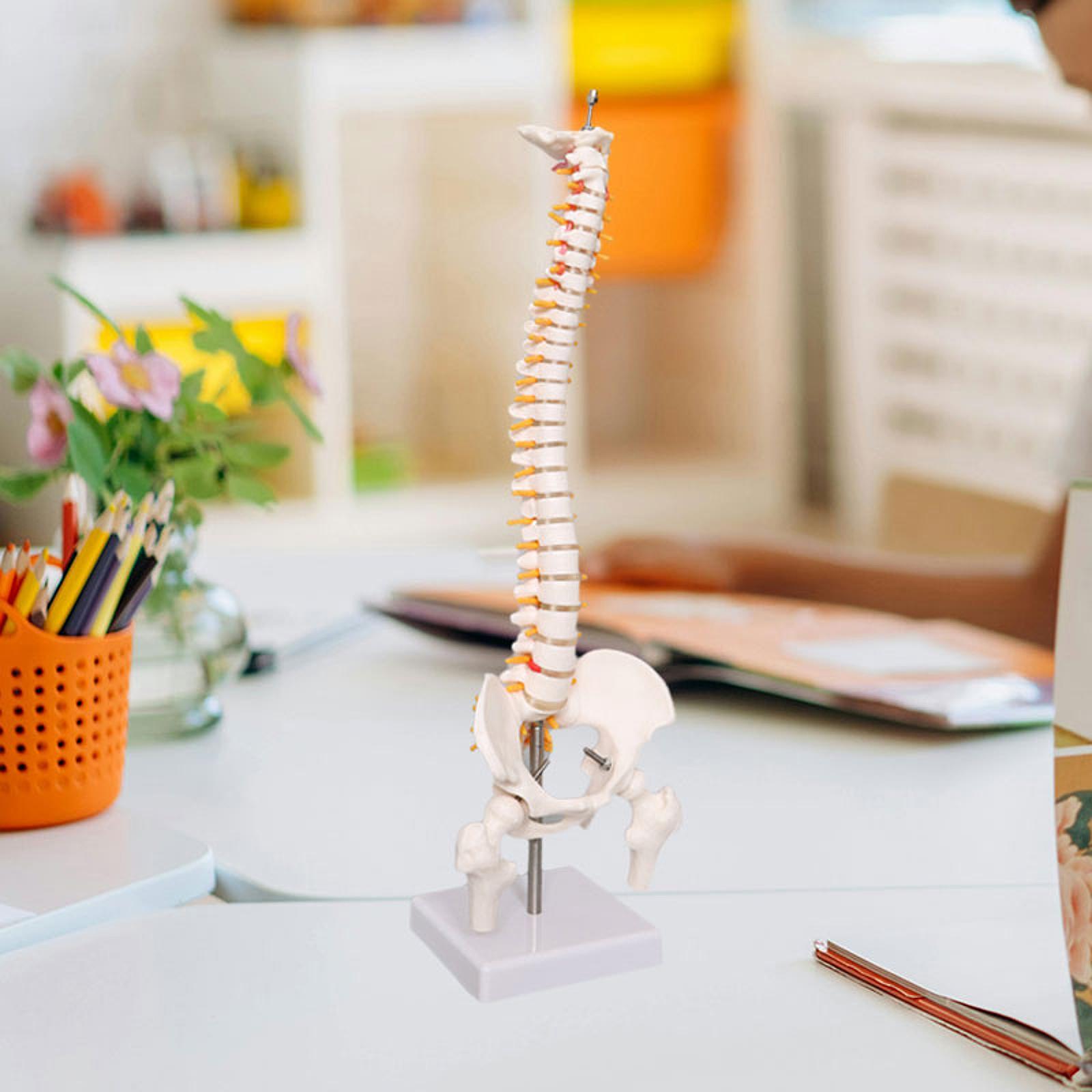 Medical Lab Study - Bilim Çalışması Biyolojik Laboratuvarı için İnsan