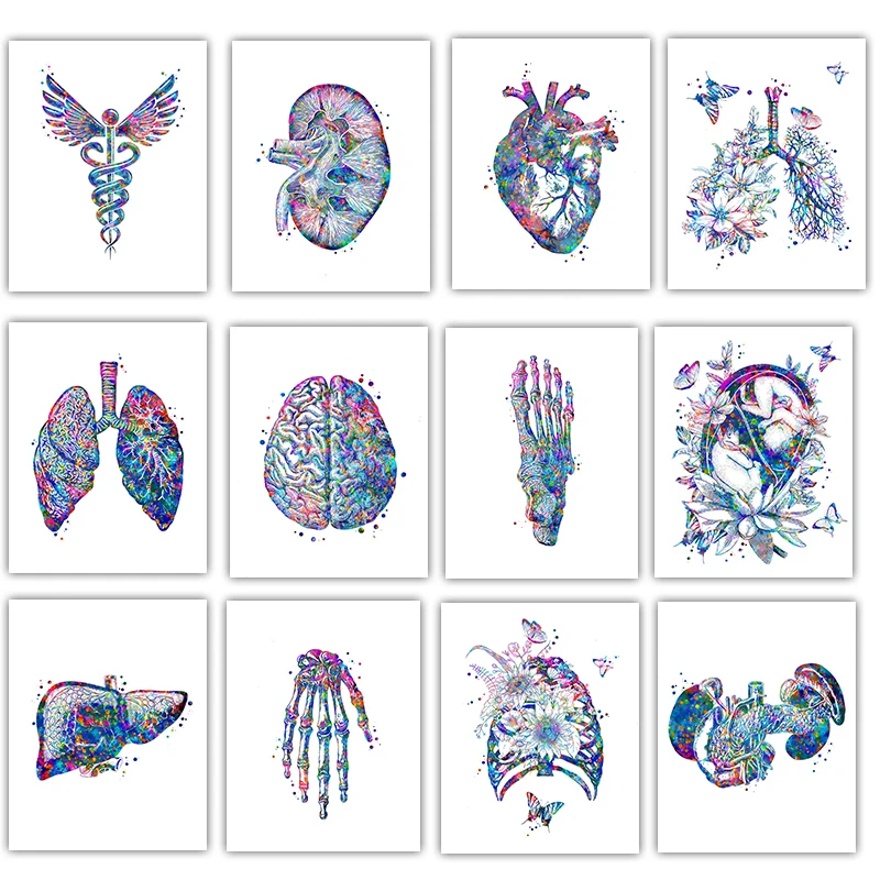Medical Lab Posters - Anatomi Tıbbi Poster Çiçek Organ Duvar