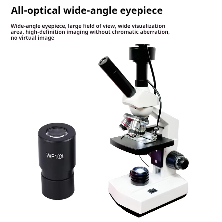 En Çok Satan HD Ekranlı Dijita - Medical Laboratories incelemesi ve fiyatı
