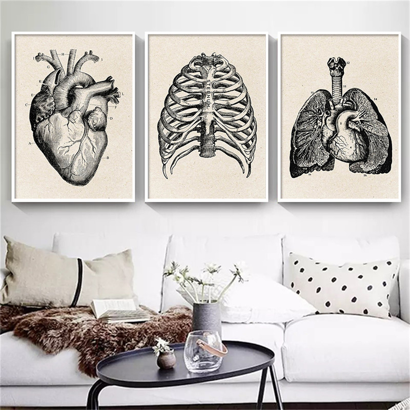 Tıbbi Anatomi Yapıt Tuval sana - Medical Lab Posters incelemesi ve fiyatı
