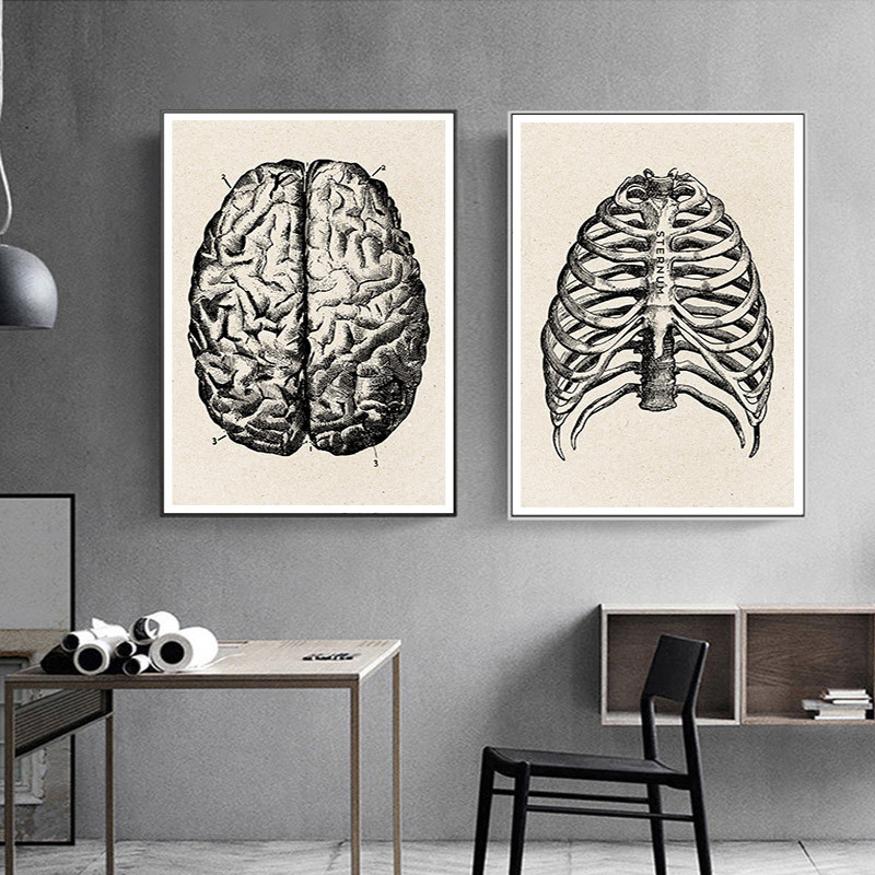 Tıbbi Anatomi Yapıt Tuval sana - Medical Lab Posters incelemesi ve fiyatı