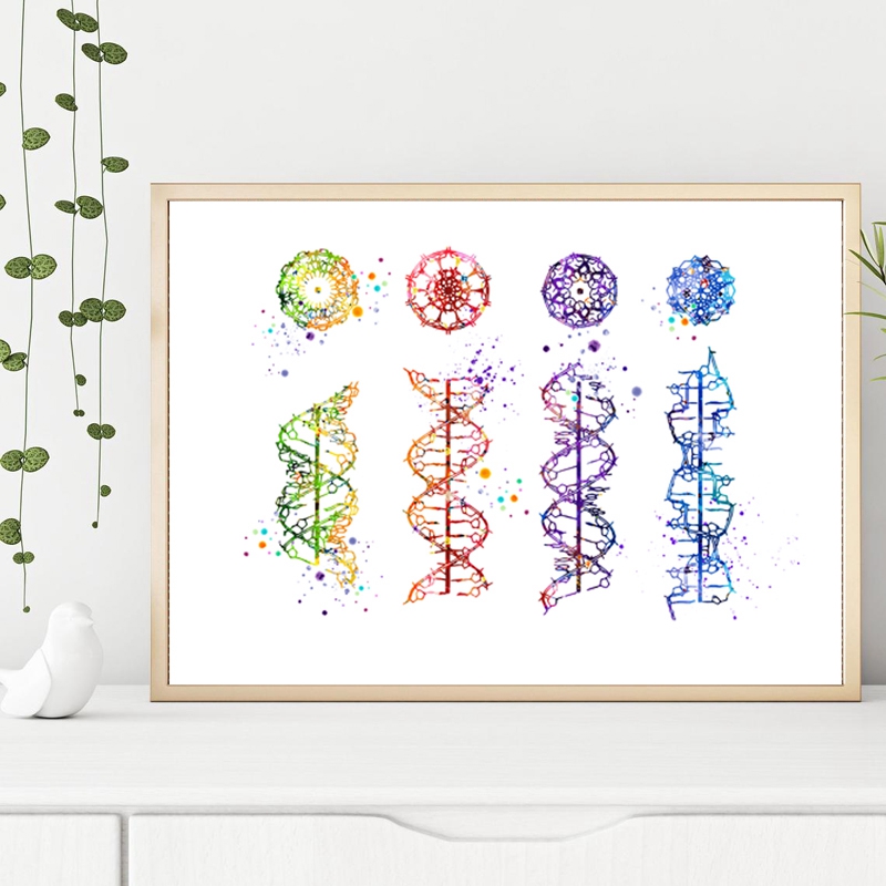 DNA Molekül Baskı Modern Tıbbi - Medical Lab Posters incelemesi ve fiyatı