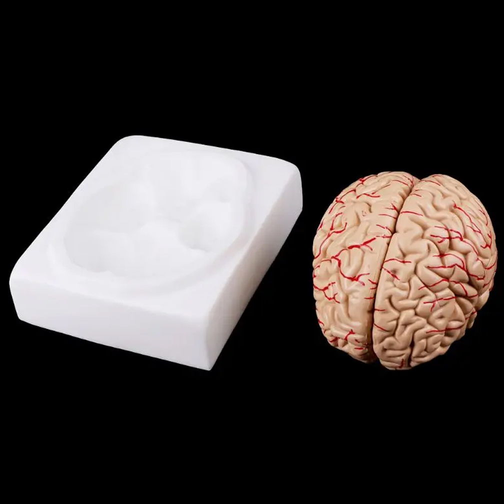 İnsan yaşam boyutu insanlar be - Medical Lab Study incelemesi ve fiyatı
